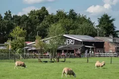 referentie-bierbrouwerij-oijen-1