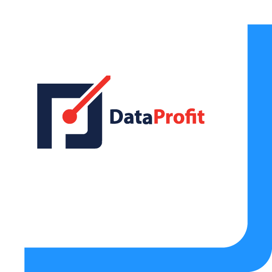 Het logo van DataProfit