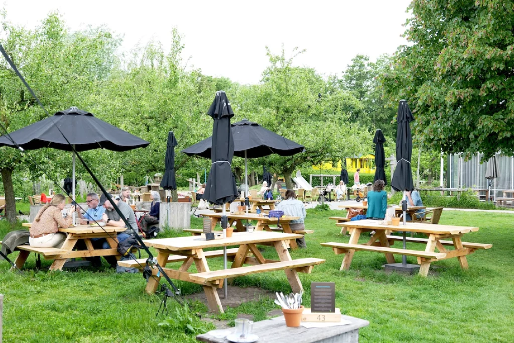 terras van de moestuin
